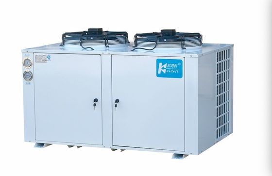 Tipo refrigerante di condensazione della cabina di U dell'unità di raffreddamento R22 di conservazione frigorifera dell'unità della stanza del congelatore