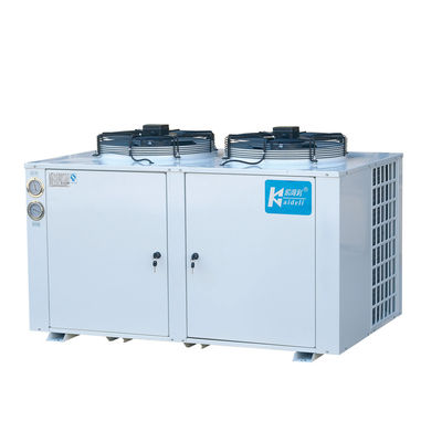 Refrigerante più freddo a bassa temperatura di misura R22 delle unità di refrigerazione di conservazione frigorifera