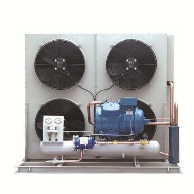 OEM di condensazione del compressore dell'unità di cavalli vapore 2hp di Copeland 5