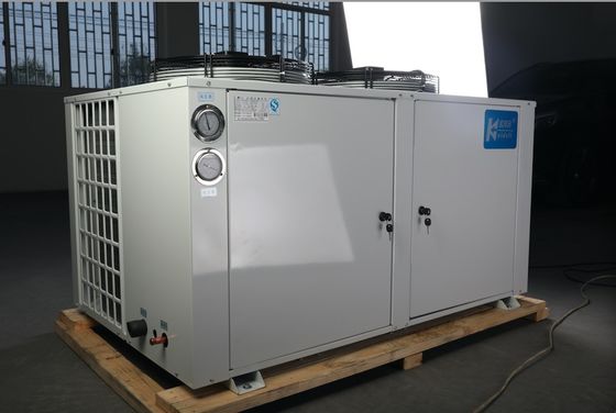 Refrigerante di condensazione del compressore 404a dell'unità della stanza del congelatore di