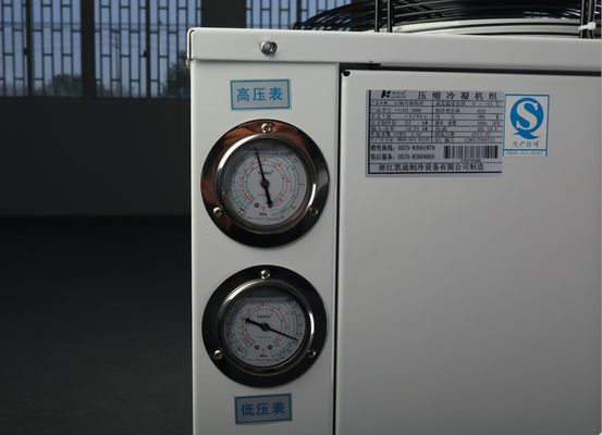 Refrigerante di condensazione del compressore 404a dell'unità della stanza del congelatore di Copeland