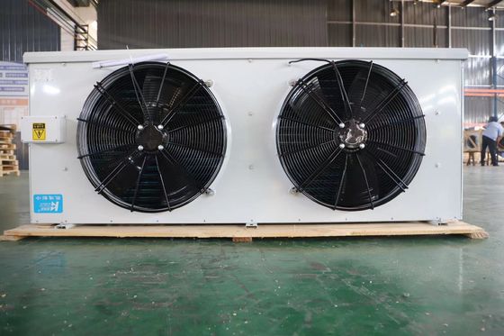 Dispositivo di raffreddamento di aria su misura economizzatore d'energia dell'attrezzatura della stanza del congelatore dell'evaporatore del ODM Coolroom