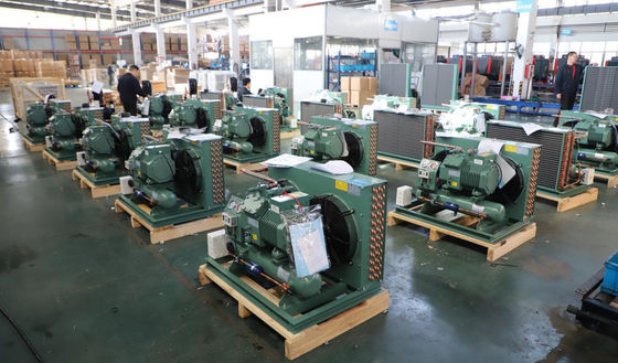 Tipo compressore a pistoni di condensazione di H dell'unità della cella frigorifera di refrigerazione