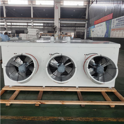 Ventilatore inclinato per evaporatore di camera fredda personalizzato